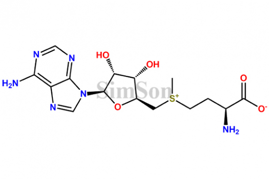 S-Adenosyl-L-Methionine