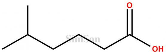 5-Methylhexanoic Acid