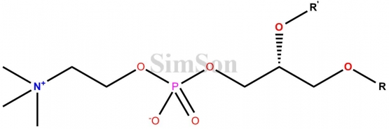 PHOSPHATIDYLCHOLINE (SOY)