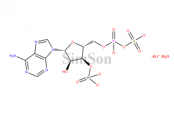 Adenosine 3-phosphate 5-phosphosulfate lithium salt hydrate