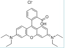 Rhodamine B
