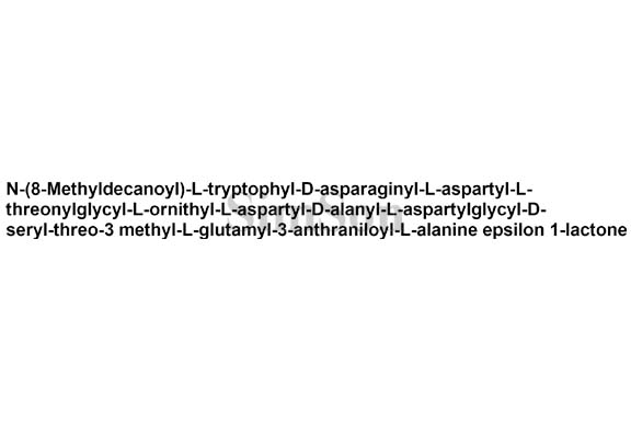 Daptomycin 8-methyldecanoyl analog