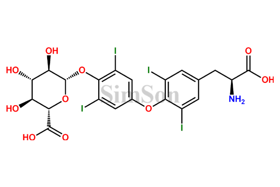 Thyroxine Glucuronide