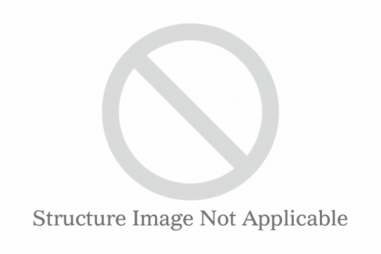 Powdered Asian Ginseng Extract