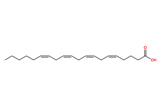 Arachidonic Acid
