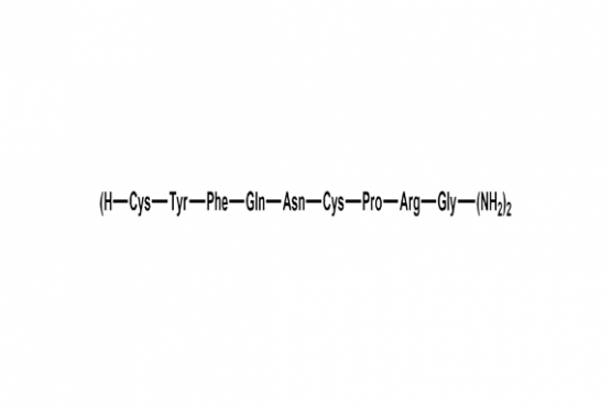 Vasopressin Parallel Dimer